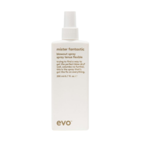 Evo Mister Fantastic Blow Out Spray 200ml